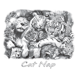 WILD CAT NAP 17820SA2.gif